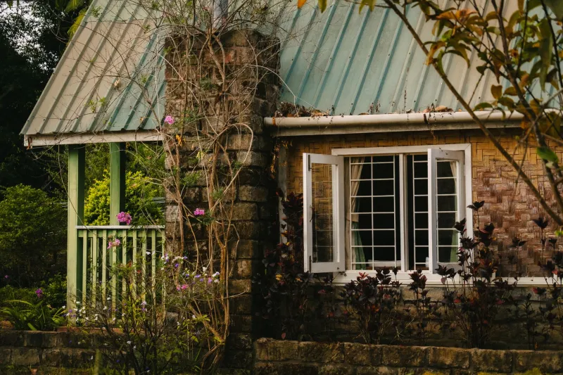 Which Way Is the Wind Blowing? How Cottage Orientation Can Supercharge Your Recovery