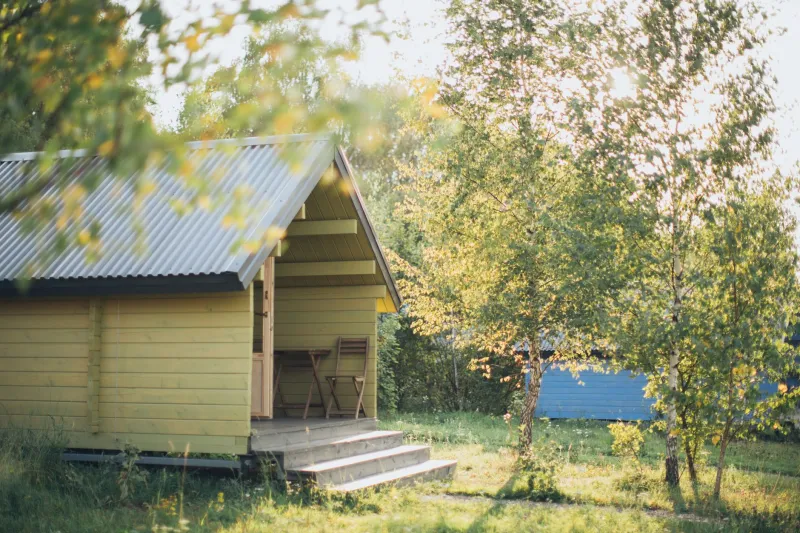 Morning East, Evening West: How to Read the Wind at Your Cottage and Let It Heal You