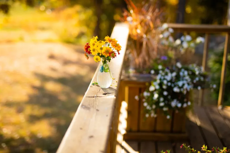 One Cottage, Four Moods: Why Multiple Outdoor Spaces Are the Secret to a Real Reset