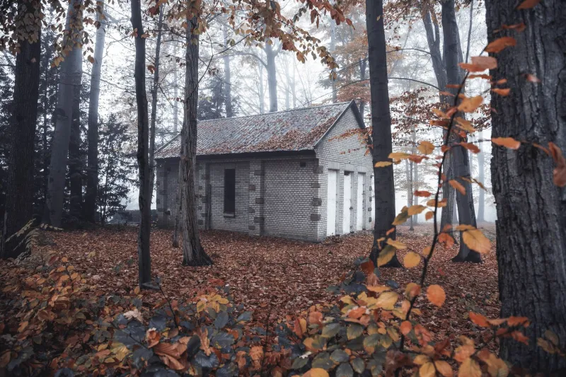 Let the Wind Tell You When to Come: A Season-by-Season Guide to Cottage Wind Patterns and Deep Rest